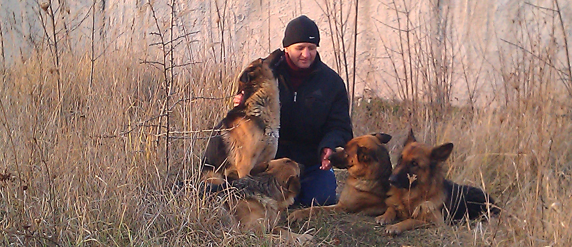 фото з песиками