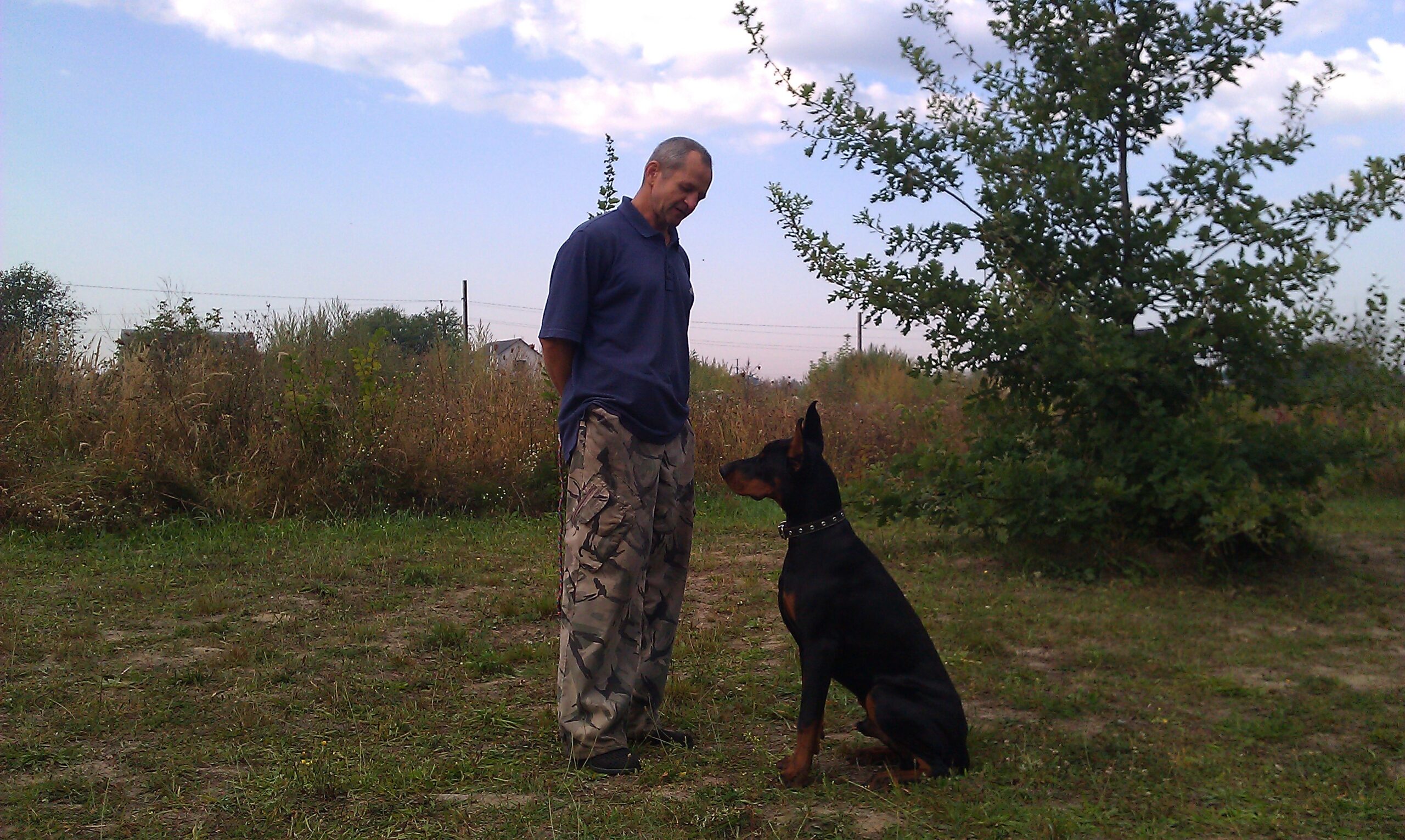 корекція поведінки собаки